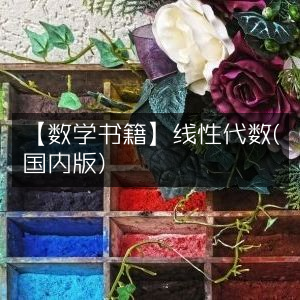 数学书籍，国内版《线性代数》