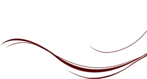 中国风花朵装饰边框高清PNG透明设计素材免费下载