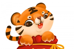 2022新年卡通虎福袋