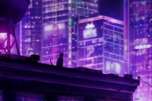 猫 屋顶 城市 未来 霓虹灯 背光 4k壁纸 3840x2160