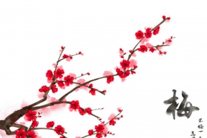彩绘的树枝上的梅花