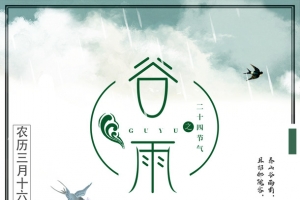 二十四节气谷雨海报设计