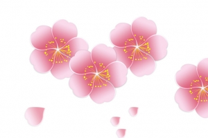 看那桃花朵朵开