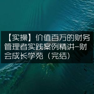 实操精讲，百万级财务管理者实践案例，财会成长必备（完结）