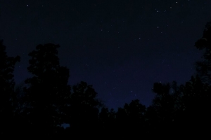 树 星星 夜晚 黑暗 黑暗 4k壁纸 3840x2160