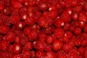 高清红色小草莓水果