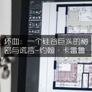 揭秘硅谷巨头，坏血背后的秘密与谎言 —— 约翰·卡雷鲁力作，助力个人能力提升