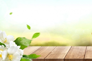 绿色清新榴莲水果食品新鲜淘宝banner