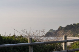 山脉 大海 树枝 海岸 景色 自然 4k壁纸 3840x2160