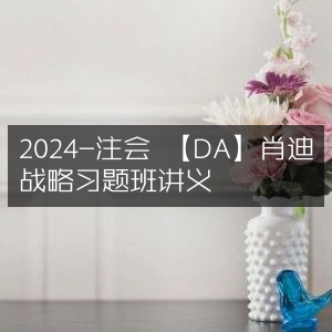 2024注会DA肖迪战略习题班精华讲义