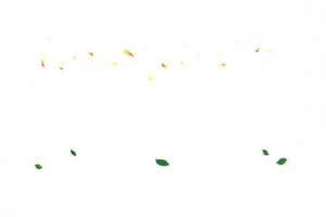 漂浮物