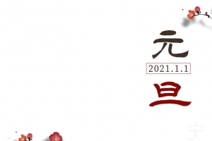 元旦梅花树枝2021