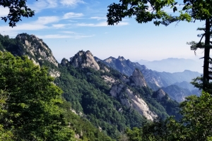 春天 爬山 蓝天松树