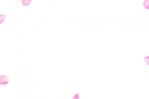 粉色漂浮花瓣设计