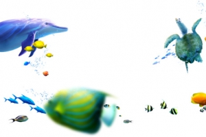 手绘深海生物夏季