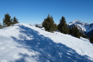 斜坡 雪 树 山脉 4k壁纸 3840x2160