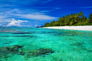 棕榈树 热带 海 海洋 4K风景壁纸