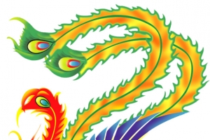 美丽凤凰