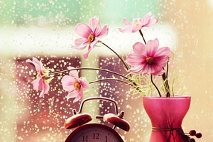 当面对两个选择时，抛硬币，总能奏效，并不是因为它总能给出对的答案，而是在你把它抛在空中的那一秒里，你突然就知道，你希望的结果，是什么了