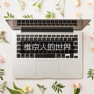 维京文明探秘，历史文化深度解读书籍
