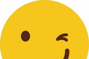 黄色可爱圆脸矢量偷笑表情