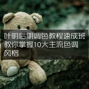 叶明后期调色速成班，掌握10大主流色调风格技巧