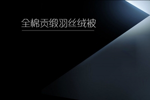 黑色扁平背景促销主图