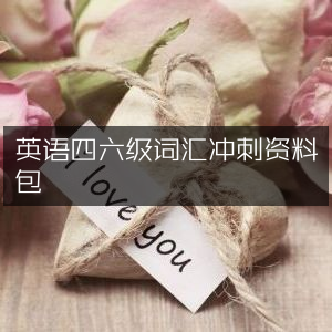 英语四六级高效词汇冲刺宝典资料包