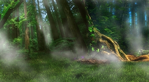 淘宝电商家纺床上用品梦幻树林背景banner