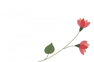 手绘小清新花卉