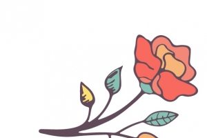 矢量ROSE玫瑰花