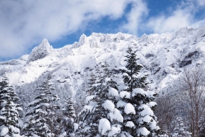 山脉 雪 树木 景观 冬季 4k壁纸 3840x2160