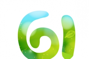 61
