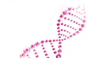 分子 氨基酸 细胞质 DNA