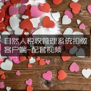 自然人税收扣缴管理客户端配套教学视频