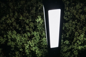 灯笼 灯 灌木 夜间 4k壁纸 3840x2160