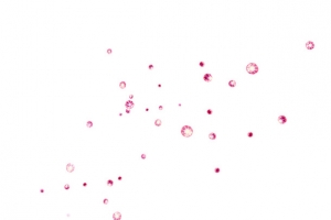 气泡
