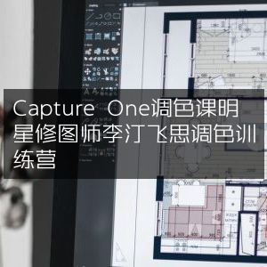 李汀飞思Capture One调色课，明星修图师专属调色训练营