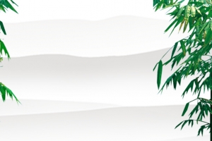主图荷叶背景图