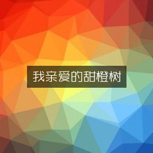 我亲爱的甜橙树，文学艺术精品书籍
