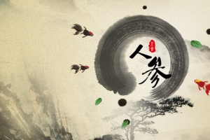 中国风人参药草淘宝背景