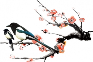 冬天梅花喜鹊