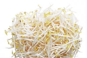 新鲜的绿豆芽一堆