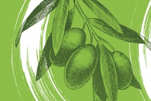 橄榄油绿色简约手绘banner