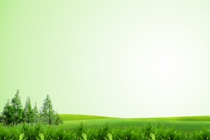 生态绿色环保和谐清新海报banner