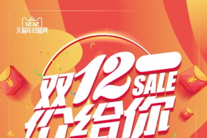 双十二购物价给你