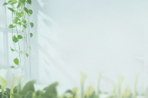 淘宝 天猫 banner 背景