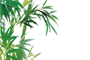 中国风竹子水墨画