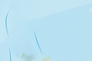浅蓝色花纹背景