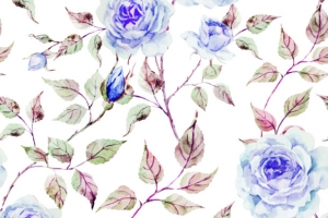 彩绘花朵 彩绘玫瑰